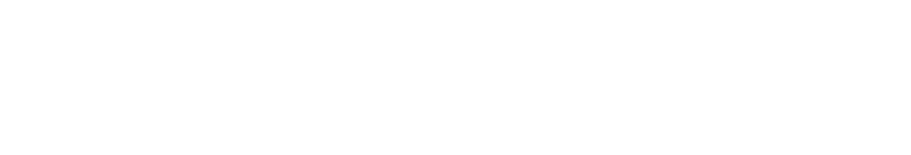 OpenFleet